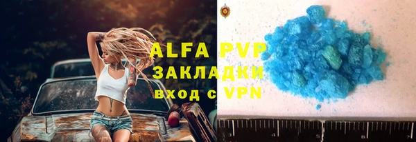 индика Карпинск