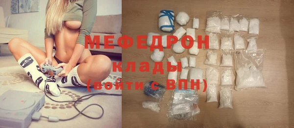индика Карпинск