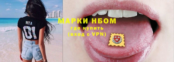 стафф Каменка