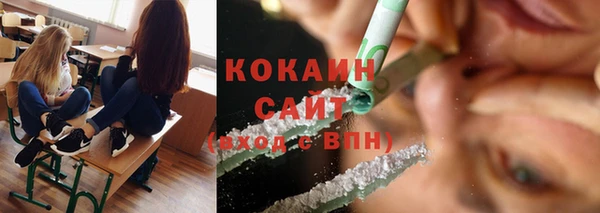 индика Карпинск