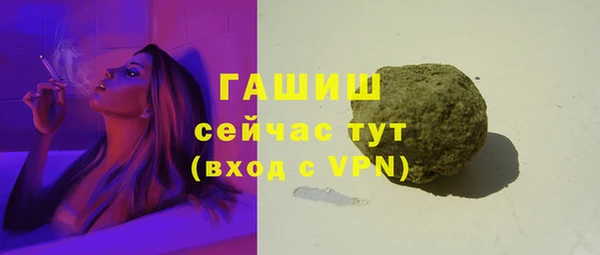 индика Карпинск