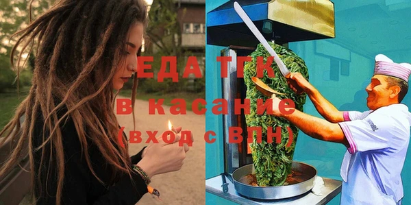 индика Карпинск