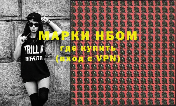 индика Карпинск