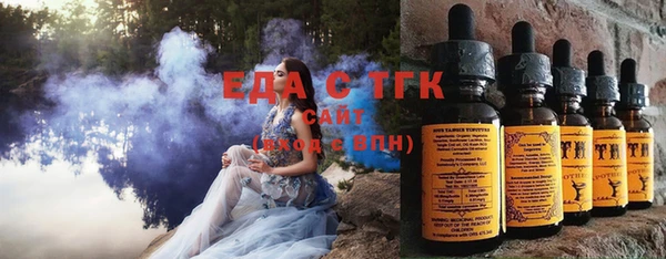 индика Карпинск
