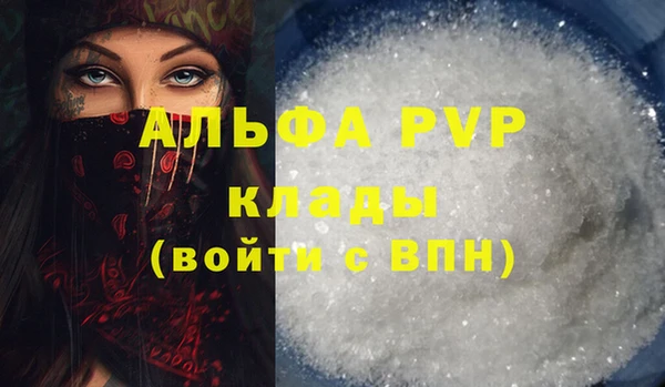 индика Карпинск