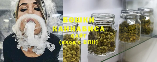 индика Карпинск