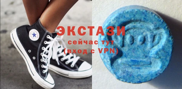 индика Карпинск