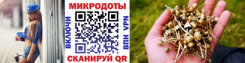 Псилоцибиновые грибы мухоморы  Кола 
