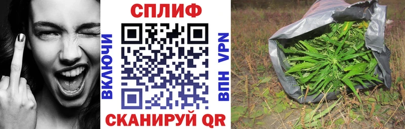 как найти наркотики  Кола  Марихуана тримм 